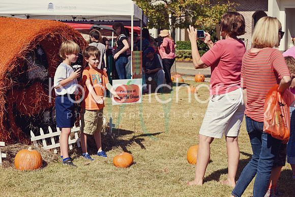 DSC_2997 copy
