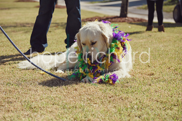 _DSC7549 copy