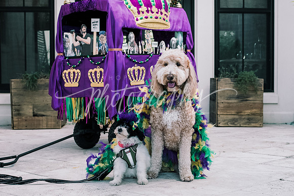 _DSC9994