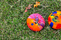 TB Pumpkins in the Park 2015
