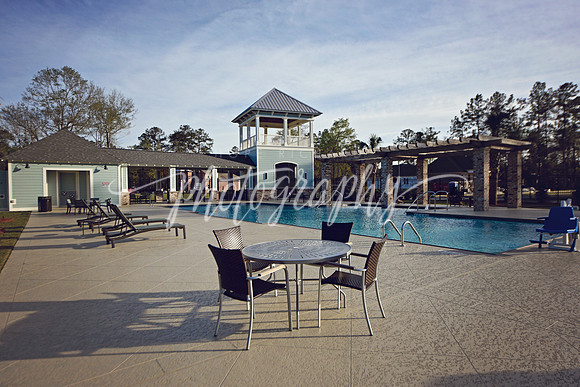 _DSC2553 copy