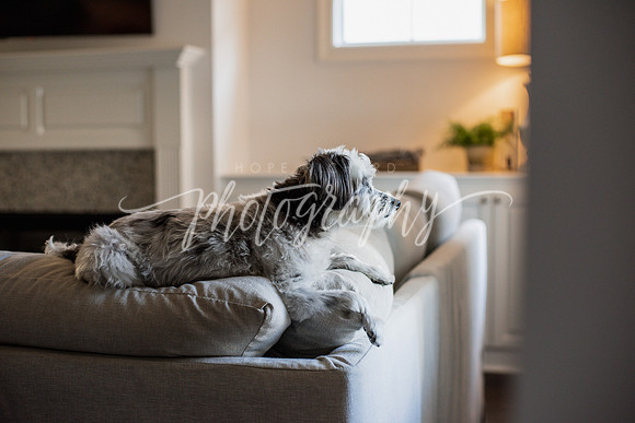 _DSC0543