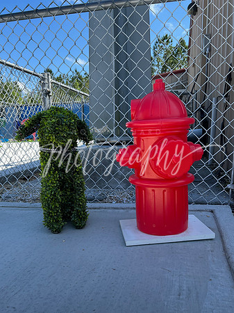 IMG_2130