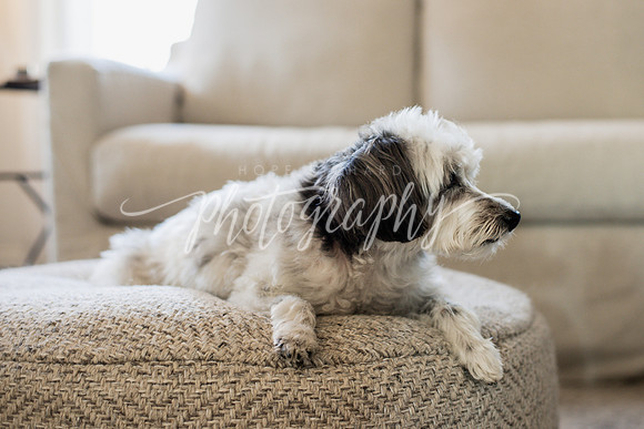 _DSC0497