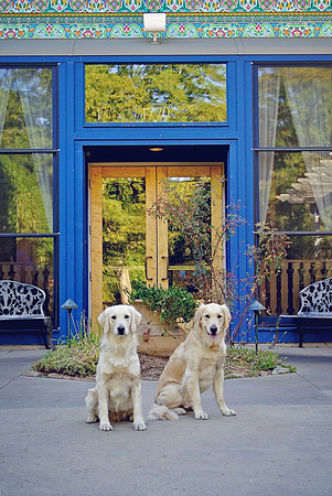 DSC_2296 copy