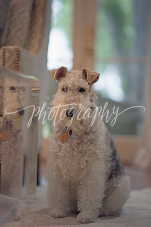 _DSC5525re copy