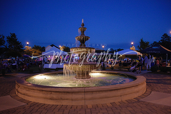 _DSC0652 copy