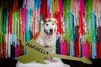 Poochella 2022