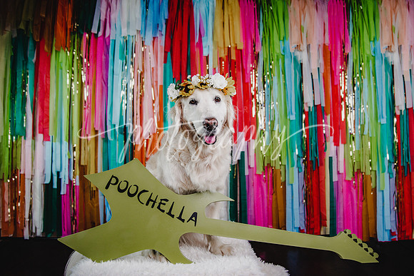 Lala Poochella Pic