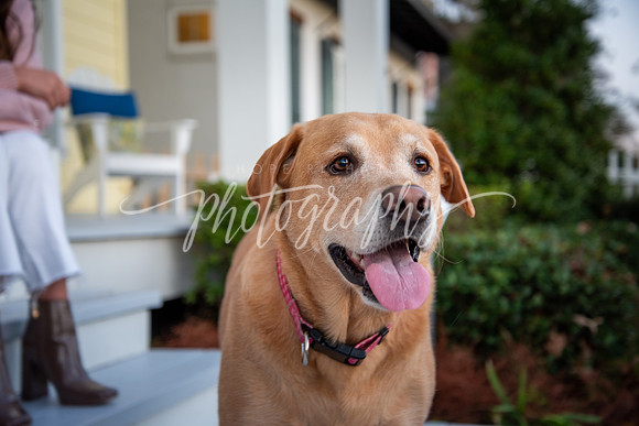 _DSC0619