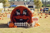 TB Pumpkins in the Park 2016
