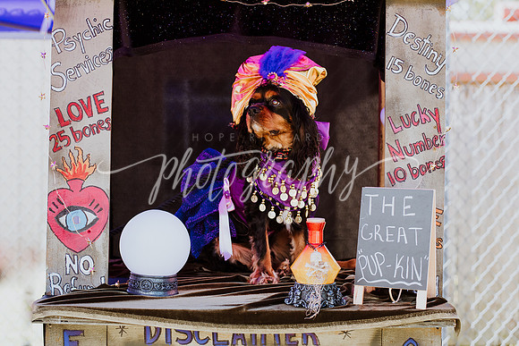 _DSC0141