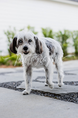 _DSC0579