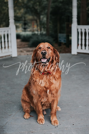 _DSC1620-Edit