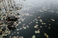 L1050847