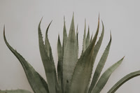 L1050873