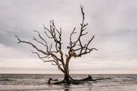 L1080429