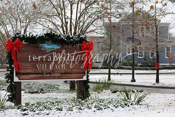 IMG_4219 copy
