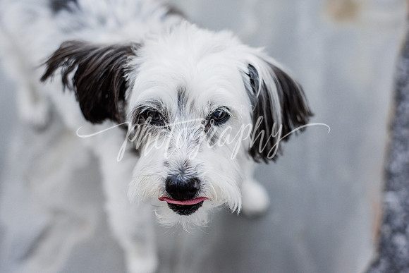_DSC0571