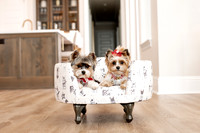 Coco & Harper 2025