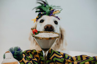 Queen/King Cake Drink 2021