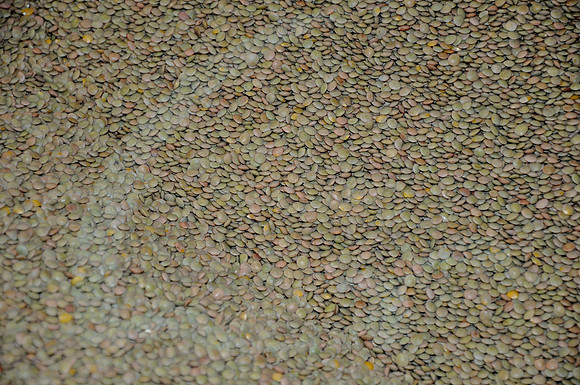 DSC_4834