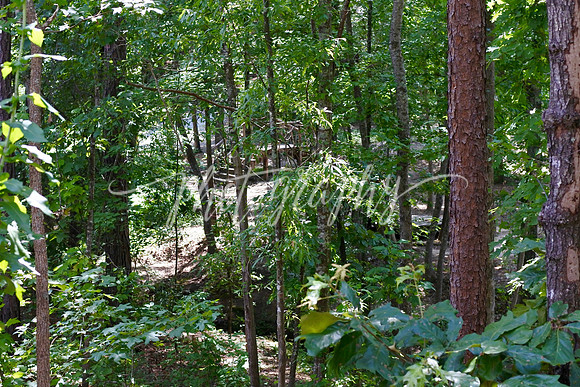 DSC_0091