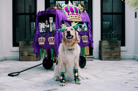 Dog House Float 2021
