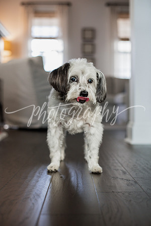 _DSC0407