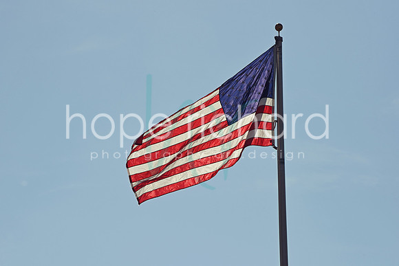 DSC_7234 copy