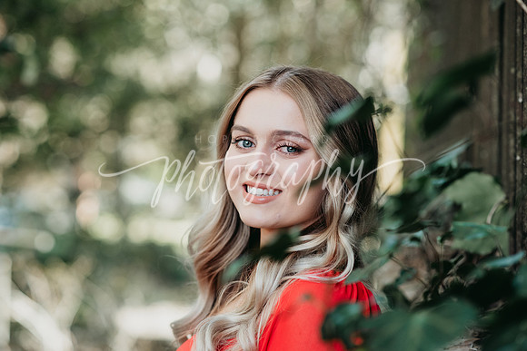 _DSC8732