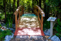 Rainbow Bridge 2024