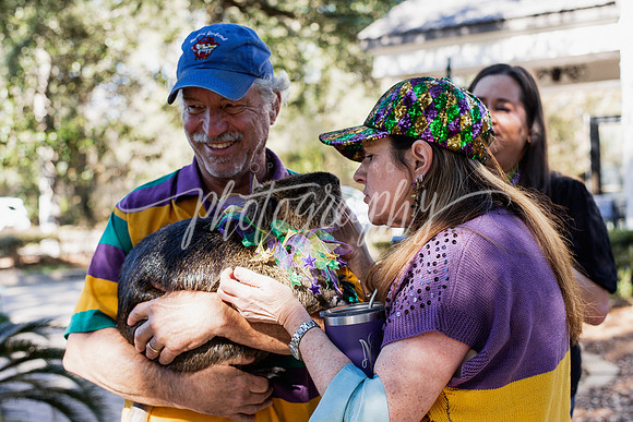 _DSC9585