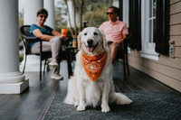 Tito's Vodka
