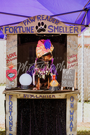 _DSC0145
