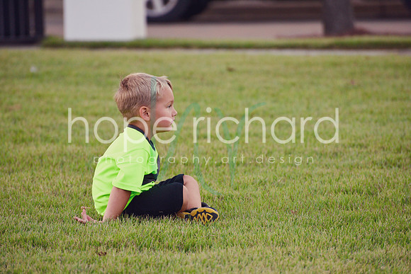 DSC_1560 copy