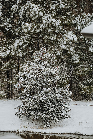 _DSC8989