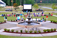 TB Screen on the Green 2014