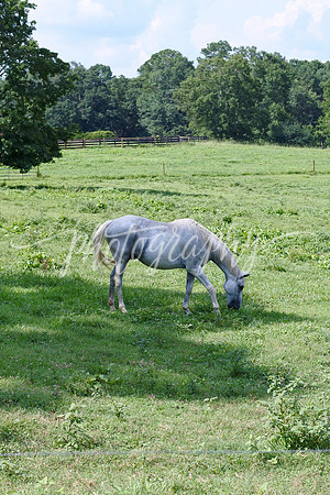 DSC_0124
