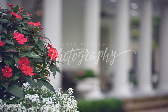 _DSC5350 copy