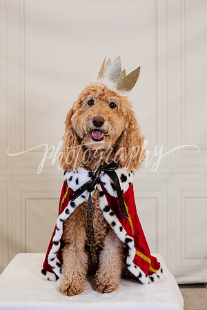 _DSC9114-Edit-2