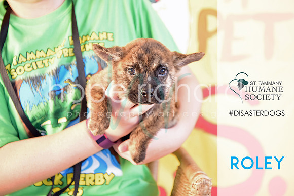 Roley