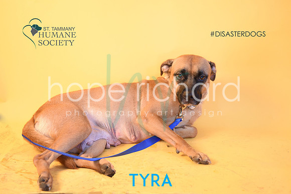 Tyra