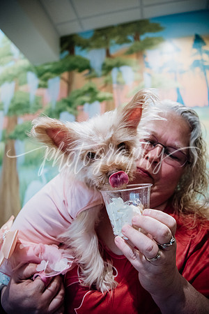_DSC2074