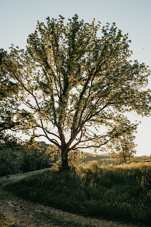L1100484
